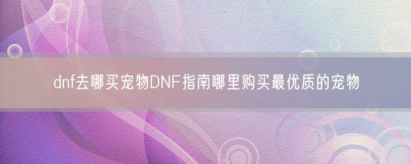 <strong>dnf去哪买宠物DNF指南哪里购买最优质的宠物</strong>