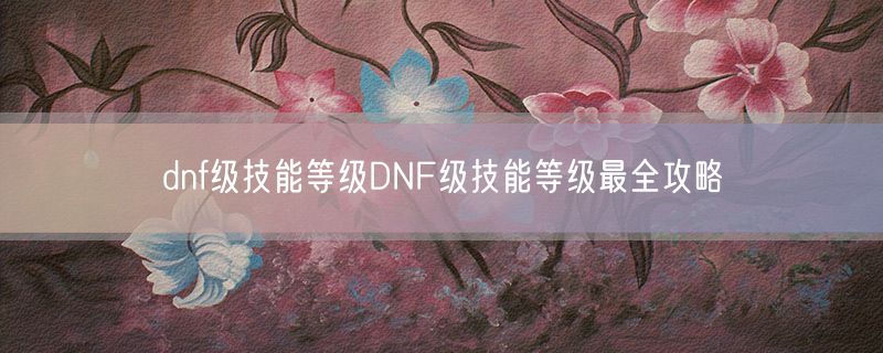 <strong>dnf级技能等级DNF级技能等级最全攻略</strong>