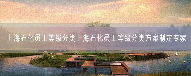 上海石化员工等级分类上海石化员工等级分类方案制定专家