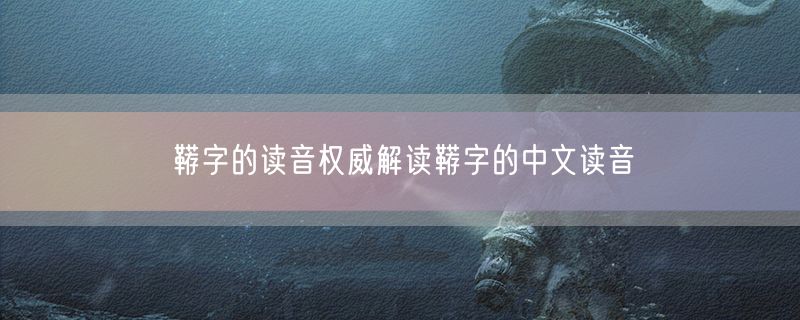 <strong>鞯字的读音权威解读鞯字的中文读音</strong>