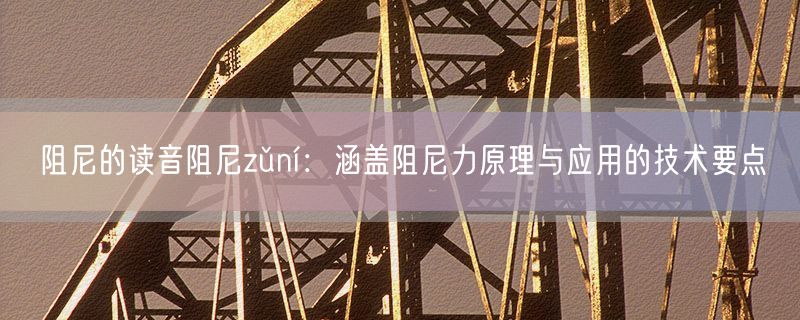 阻尼的读音阻尼zǔní：涵盖阻尼力原理与应用的技术要点